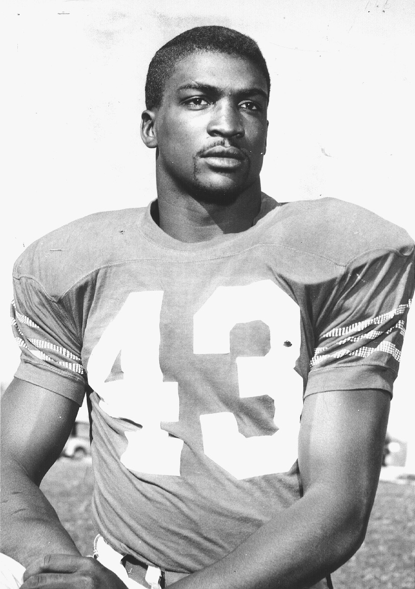 Don Perkins